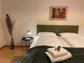 Comfort 1 and 2BDR Apartment close to Zurich Airport